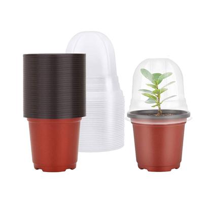 5/10/15/20Pcs Plastic Nursery Starting Pots for Succulent Seedling Cutting Transplanting Flower Plant Container