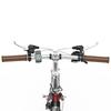 OT02PRO, rosso/verde, potenza motore 250W, 36V, batteria staccabile 5.2AH, pneumatici 20*1.35 pollici, bicicletta elettrica da città, velocità massima 25KM/H