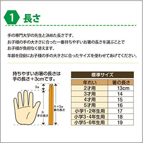 Hashisho Seiwa Hexagonal Intelligent Chopsticks, Plain (For 3rd and 4th Graders/18cm, Green)