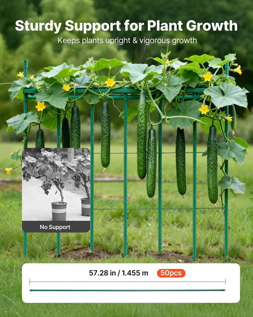 Garden Stakes, 50 Pack, 1455 Mm, Plastic Coated Metal Tomato Stakes, Garden Sticks for Plants Support, with Pointed End and Non-Slip Bumps for Growing