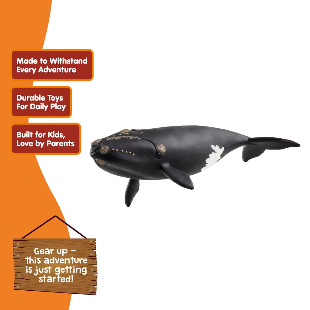 Schleich Wildlife North Atlantic Right Whale 14878