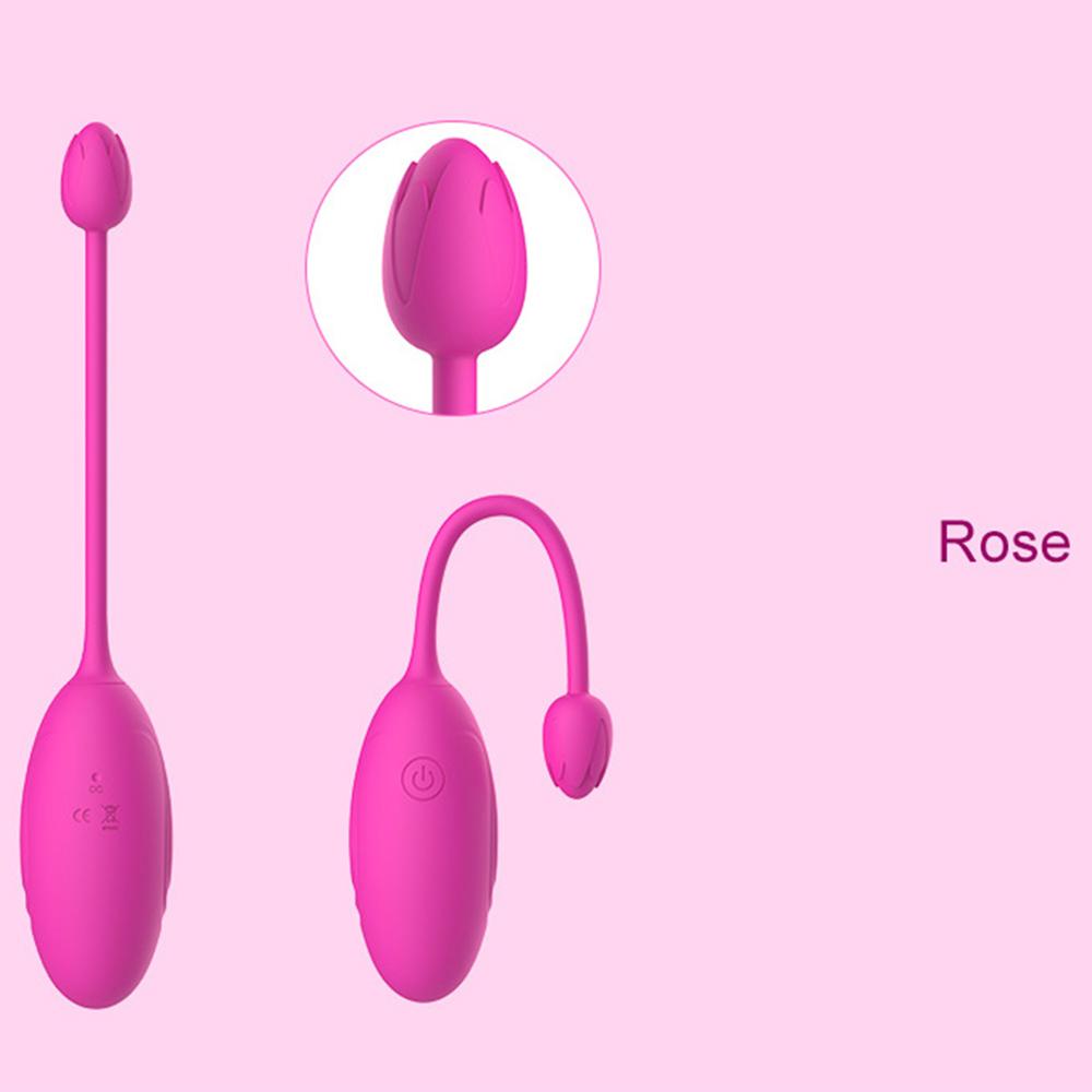 Wireless Remote Control Vaginal Balls Vibrating Egg Wearable Panties Jumping Egg Clitoris G-Spot Stimulation Sex Toys for Women