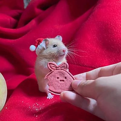 Weihnachtsvogelmütze, kleine Tiere, schöne handgestrickte Mützen für Hamster, Eidechsen, Meerschweinchen, Reptilien, Partykleidung, Kostüm, Haustierkappen
