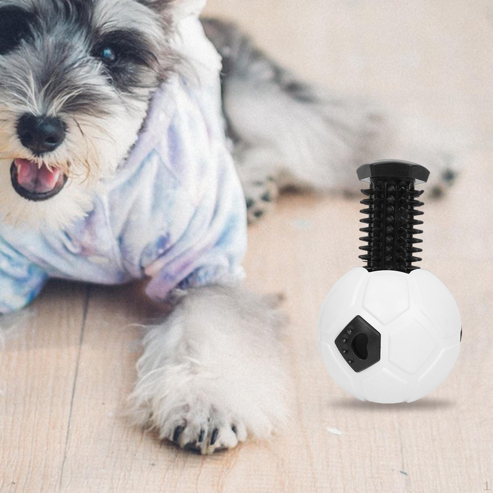 

Dog Feeding Soccer Ball for Interactive Play and Learning