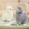 Bebek ve Peluş Oyuncaklar – Doldurulmuş ve Peluş oyuncak hayvanlar