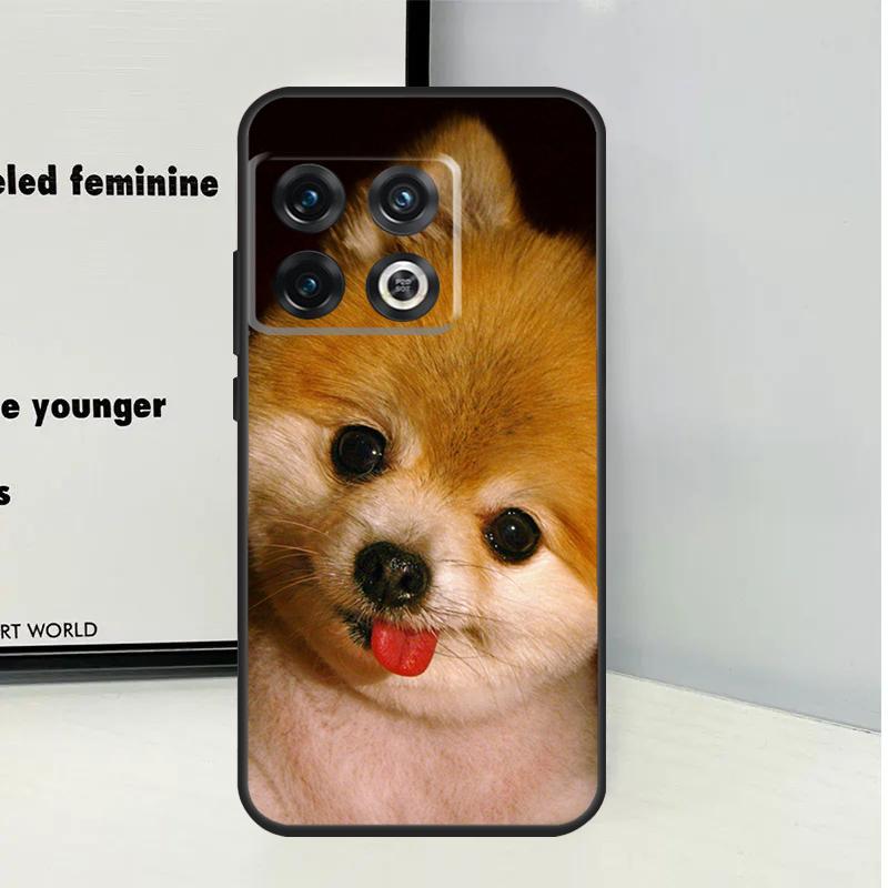 Pomeranian Dogs Dog Colorful For OnePlus Nord CE 5 2 3 4 Lite N20 N30 Case For OnePlus 15 13 12 11 10 Pro 10T 12R 13R 13T
