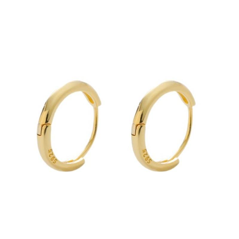 Small Aperture Stud Earrings for Women, Featuring Luxurious and High-end Style, with A Minimalist and Simple Ear Loop Design.