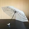 Waterproof Cartoon Cat Umbrella Thickened Automatic Umbrella Transparent Umbrella  Students