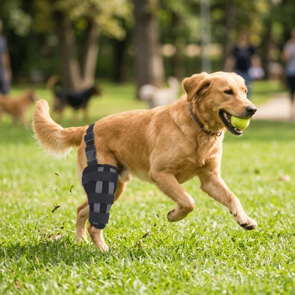 Joint Stabilizing Dog Knee Support Adjustable Fit Dog Leg Wrap Pet Recovery Brace  Hind Leg Injury