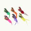 6Pcs Artificial Feather Birds With Vibrant Colors And Realistic Look Perfect For Garden Home Decor Diy Crafts Party Ornaments