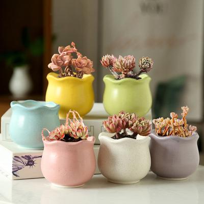 6 Stück Mini Keramik Sukkulenten Blumentöpfe Heim Gartendekoration Bunte Bonsai Blumentöpfe Pflanzenwachstumsbehälter