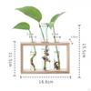 Glass Vase with Vintage Wooden Stand Desktop Terrarium for Hydroponics Plant