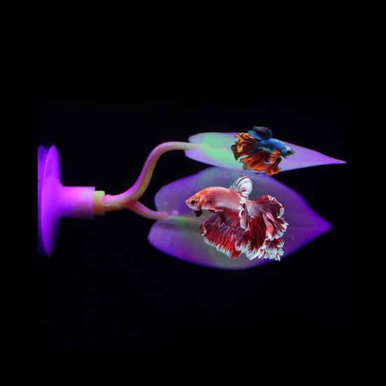Fish Tank Leaf with Suction Cup Eco-friendly Vibrant Color Simple Installation Small Fish