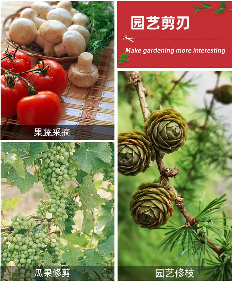 Stainless Steel Beak Garden Pruning Shears Fruit Shears Fruit Tree Gardening Branch Shears Fruit Picking