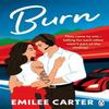 Burn by Emilee Carter Paperback Book 9781405979054