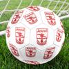 ArsenalHallenfußball Bunt Alle Altersgruppen Maschinengenäht PVC Wettkampfbereit Langlebig Hoher Rückprall