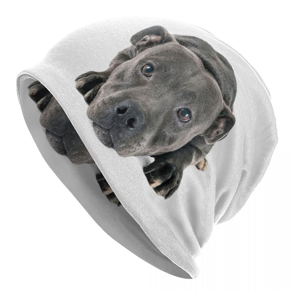 Custom Peeking Dog Jack Russell Terrier Bonnet Hats Street Knit Hat For Women Unisex Autumn Winter Pet Animal Skullies Beanies Caps