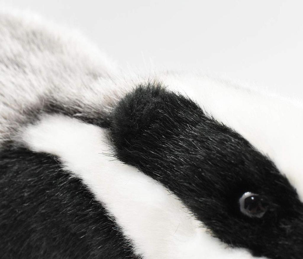 BH3483 HANSA Badger 30