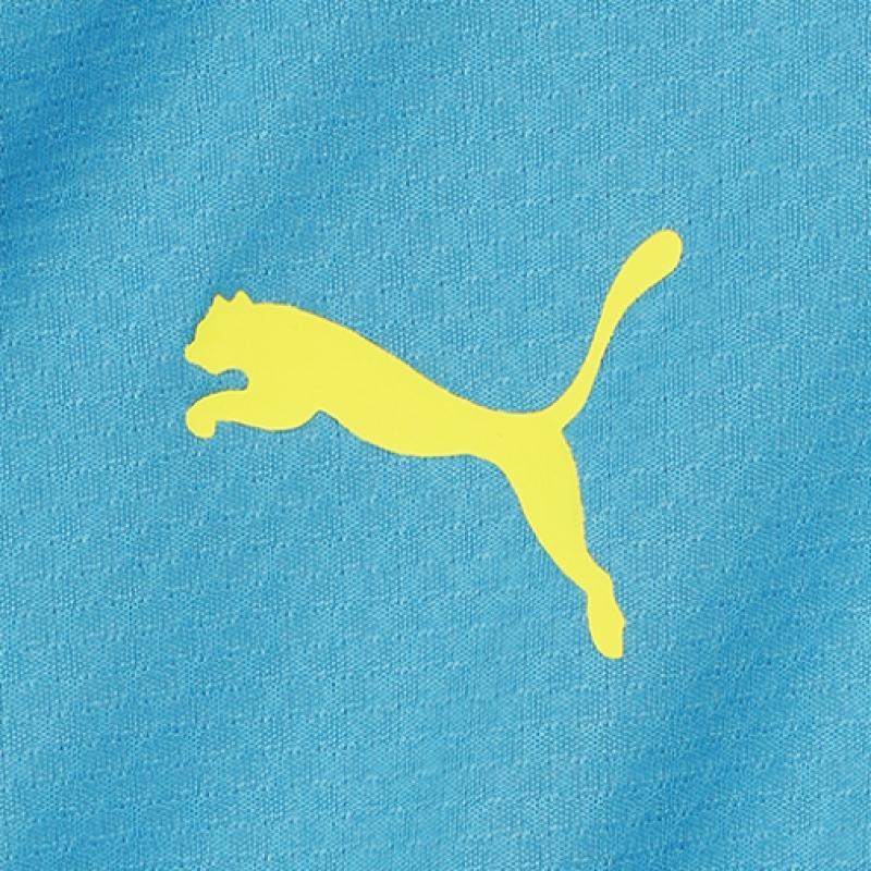 Puma Manchester City Training 1 4 Zip Top