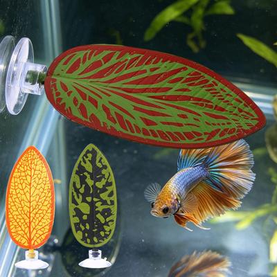 Akvariedjur – Akvarietillbehör