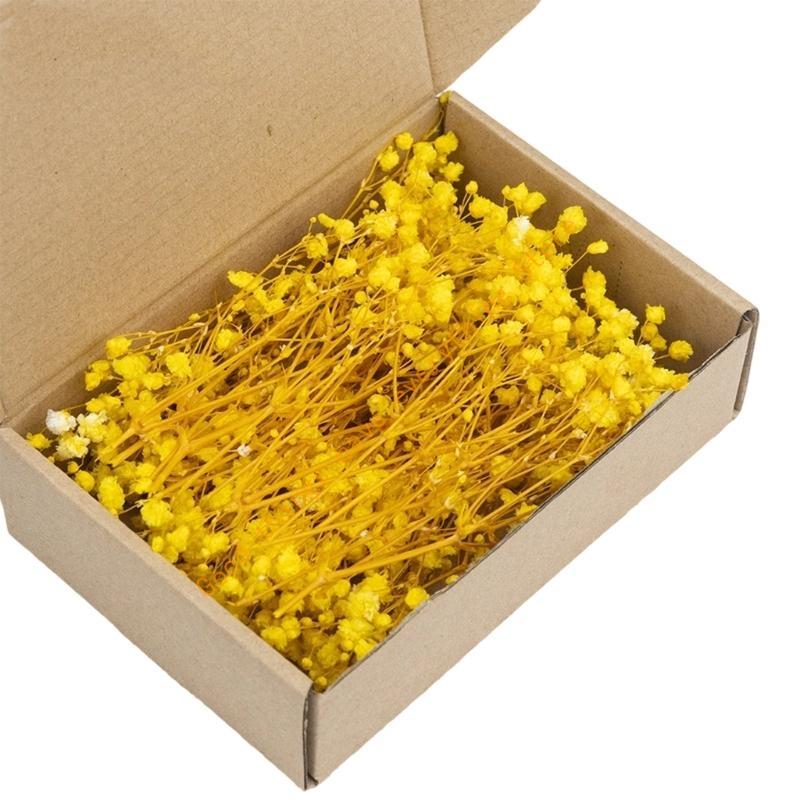 Set aus 50 getrockneten Schleierkraut-Bündeln, ewige Blumenstiele für Vasenarrangements, Dekoration, Tischmittelstücke 55KF