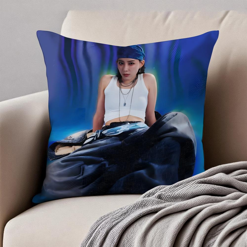 Popular fashionable Chinese singer DDanyLee Cushion Cover Pillowcase Antidustmite Invisible Zipper Short Plush Sofa Cushion 30X30cm