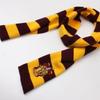Harry Potter Inspired Small Scarf - Movie Style Cosplay Accessory