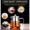 Mini Size Glass Teapot Tea Kettlewith Stainless Steel Removable Infuser for Blooming Tea and Loose Leaf Tea Microwave and Stove