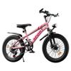 Kids' Mountain Bike: Dual-Speed, Double Disc Brake with Shock Absorption
