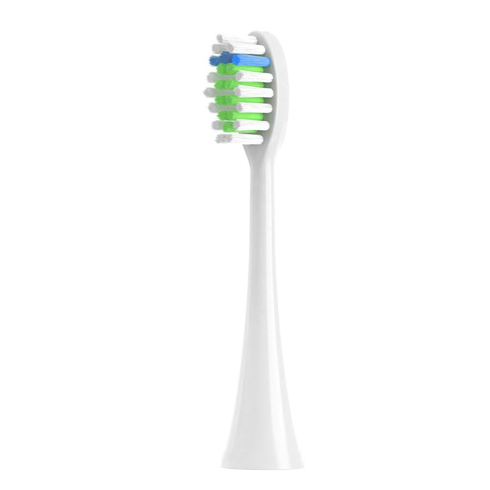 Kiwibird K5/K3 Electric Toothbrush Replacement Head - High Polish Round Bristles