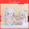 Bunny Toy Plush Cute Cartoon Butterfly Girl Children Birthday Holiday Gift Doll