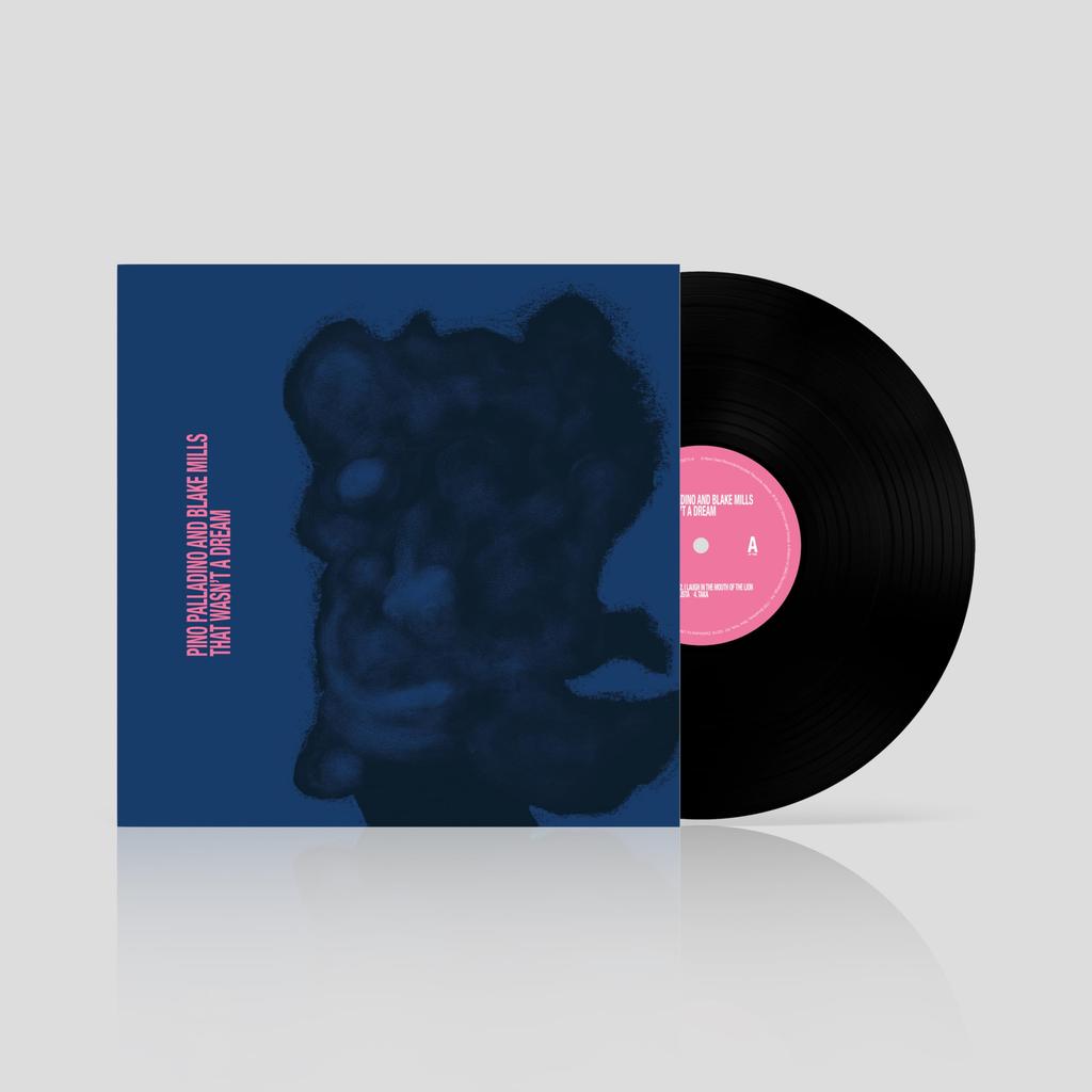That A Dream Inch Wasn't [12 Analog]