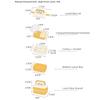 Cute 1/6 1/12 Scale Doll Picnic Box Cartoon Pattern Multicolor Doll Accessories Plastic Dollhouse Lunch Box Dollhouse