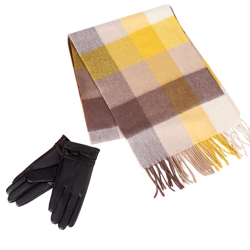 Aisiyalan Deluxe Scarf and Gloves Gift Set