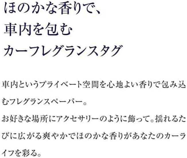 Bulk Proud Men Car Fragrance Set of 3 Citrus Hanging for Cars Purchase Tags, (Grooming Scent), Style,