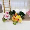 Botanical Phalaenopsis Faux Fake Flower Props For Bridal Events And Party Decor