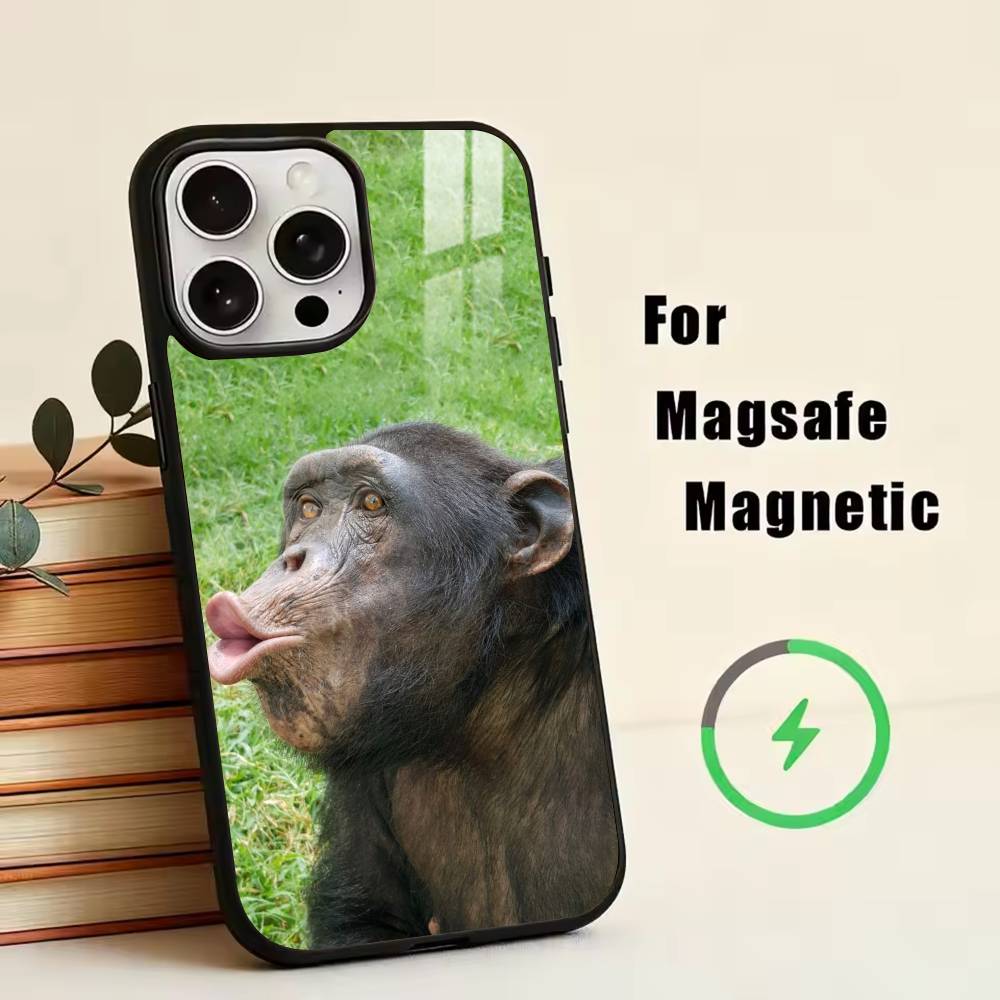 Funny Cute Monkeys  Phone Case For iPhone17,16,15,14,13,12,11 Plus,Pro Magnetic For Magsafe Wireless Charging iphone16e
