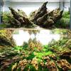 250g 500g 1000g Natural Aquarium Decor Stone Rockery Landscaping Fish Tank Microporous Stone Good for Plants Growth
