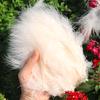 50Pcsdiy Color Feather Full Fleece Turkey Feather Clothing Antique Headdress Pet Toy Handicraft Decoration