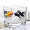Geometric Cube Vase Transprent Candle Holder Minimalist Fish Tank  Home