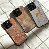 Retro Industrial Style R-Rusty Phone Case For iPhone 17,16,15,14,13,12,11 Plus,Pro Max,XS,Colorful Silver Phone Case Funda Cover