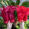 2Meters Colorful Rooster Tail Feathers Trim 25-30Cm /10-12Inches Pheasant Feather Fringe Ribbon For Carnival Plumes Decoration