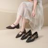 Fashion New Women's Designer Vintage Pointed Toe Women Mary Jane Shoe Fashion Shallow Buckle Shoes Ladies Elegant Dress Thick Heel Shoes
