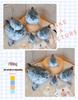 Soft Osaka Mother and Baby Sea Lion Plush Toy - Marine Animal Pillow Doll