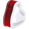 Road Passion 17213-MEA-670 Air Filter Compatible with Honda VTX1300C 2004 2005 2006 2007 2008 2009/ VTX1300R 2004 2005 2006 2007 2008 2009/ VTX1300T