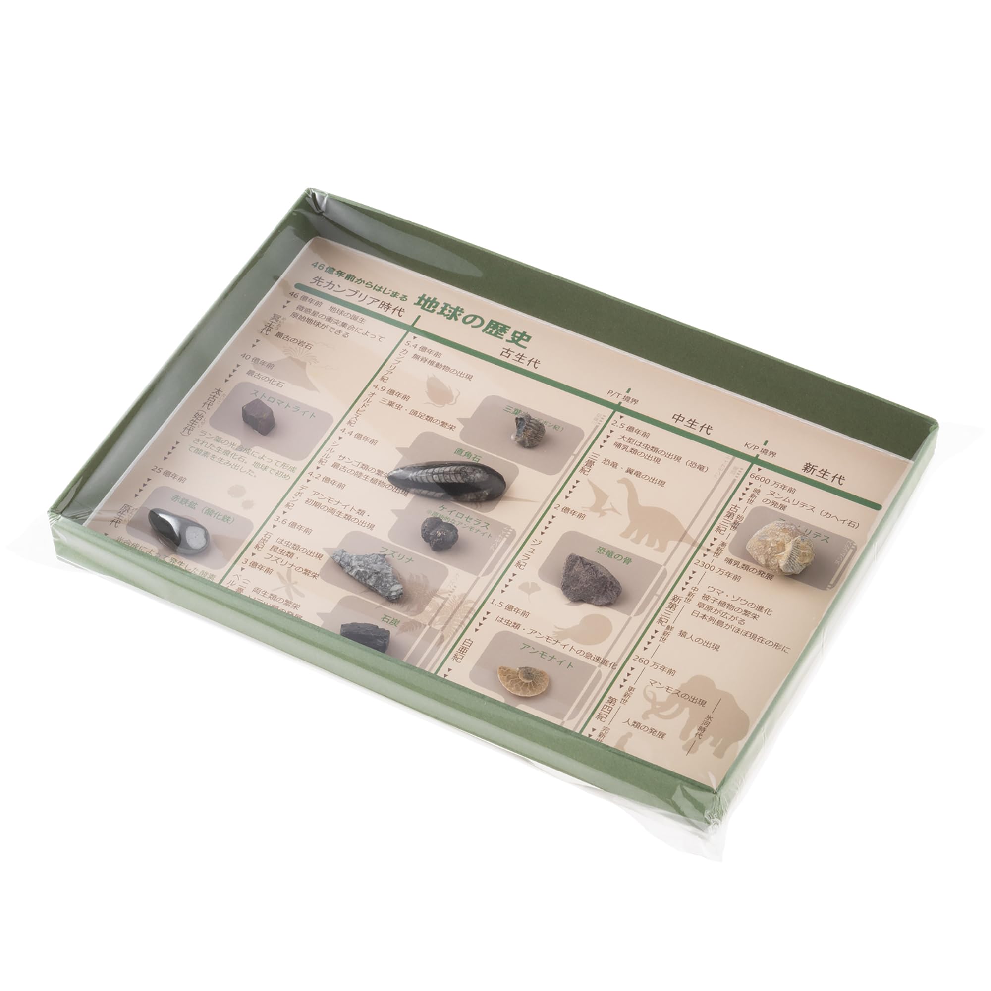 

Oherikosha Specimen Geological Time Specimens History of the Book-Type Set The Earth
