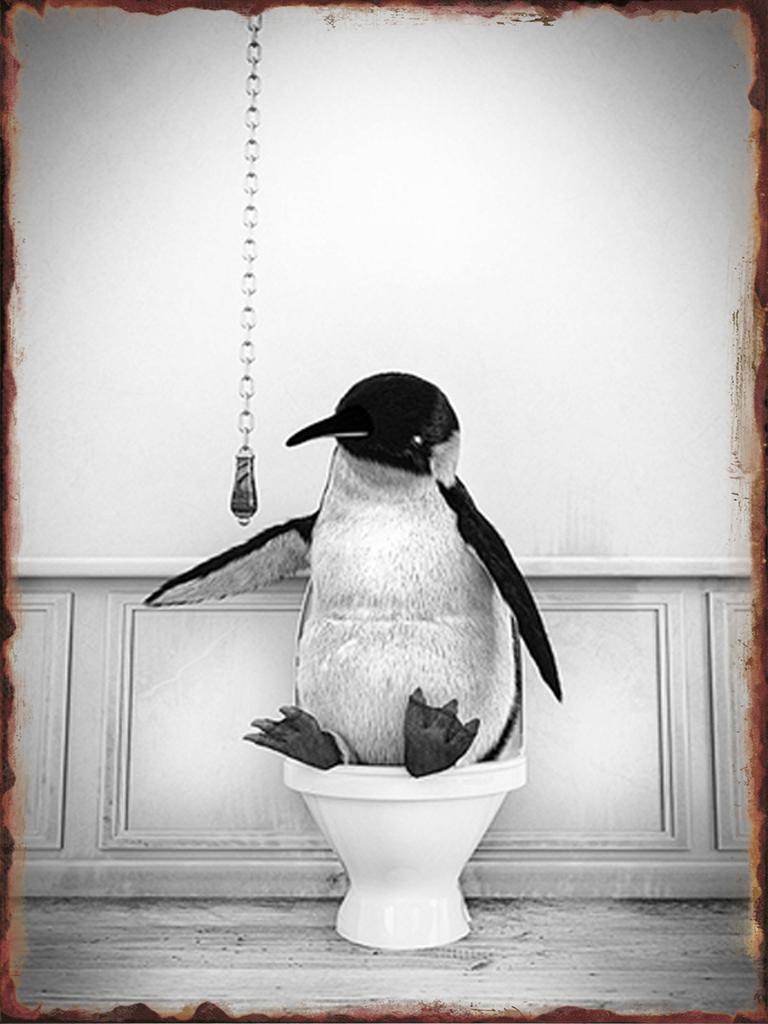 Toilet Animal Funny Metal Tin Signs Home Bathroom Wall Art Decoration Public Lavatory Plaques Restroom Plate Background Poster