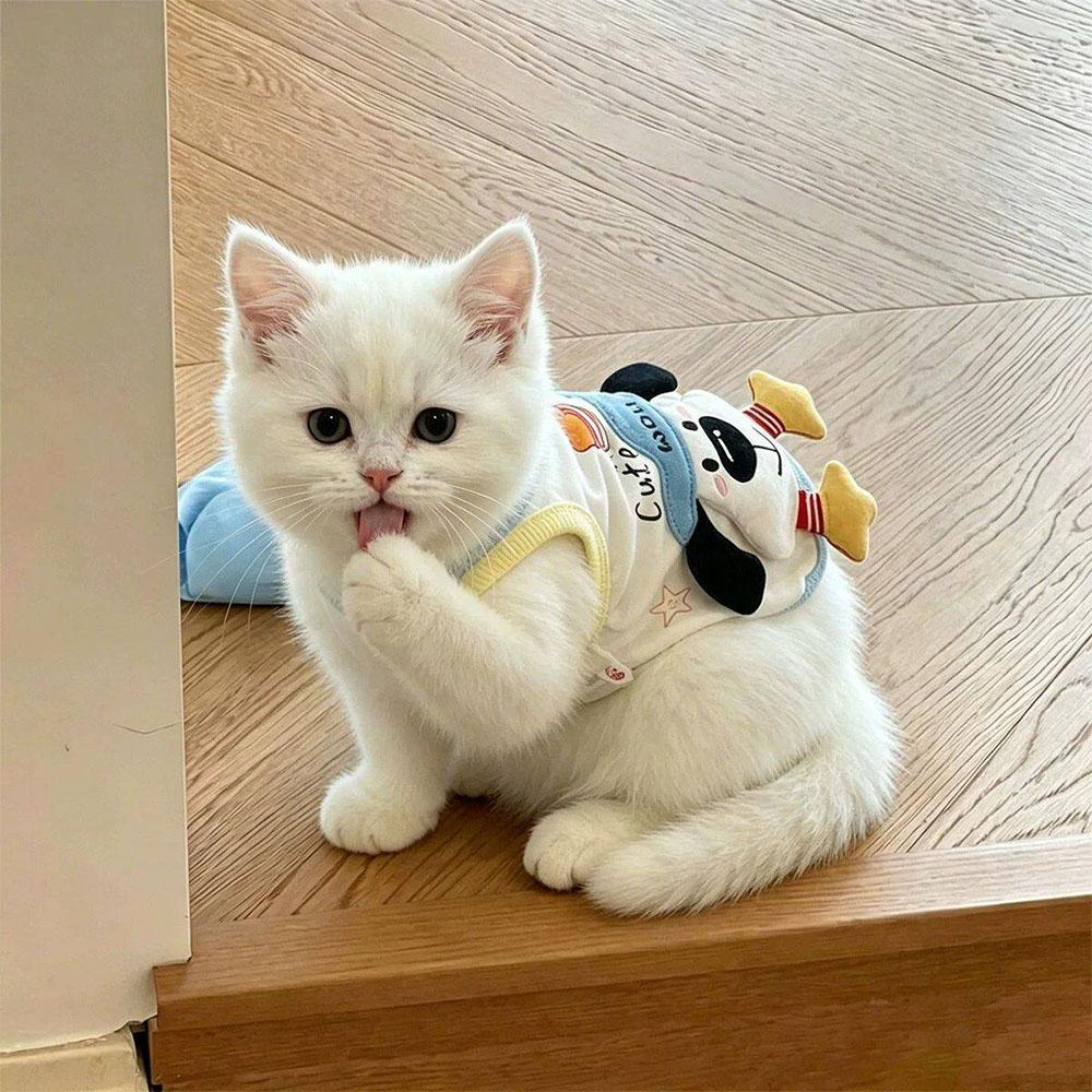 Summer Cute Clothes for Dogs Cats Vest Spring Pets Clothing Cat Small Dog Cooling Vest Doggy kitty Bichon Pet Apparel Supplies