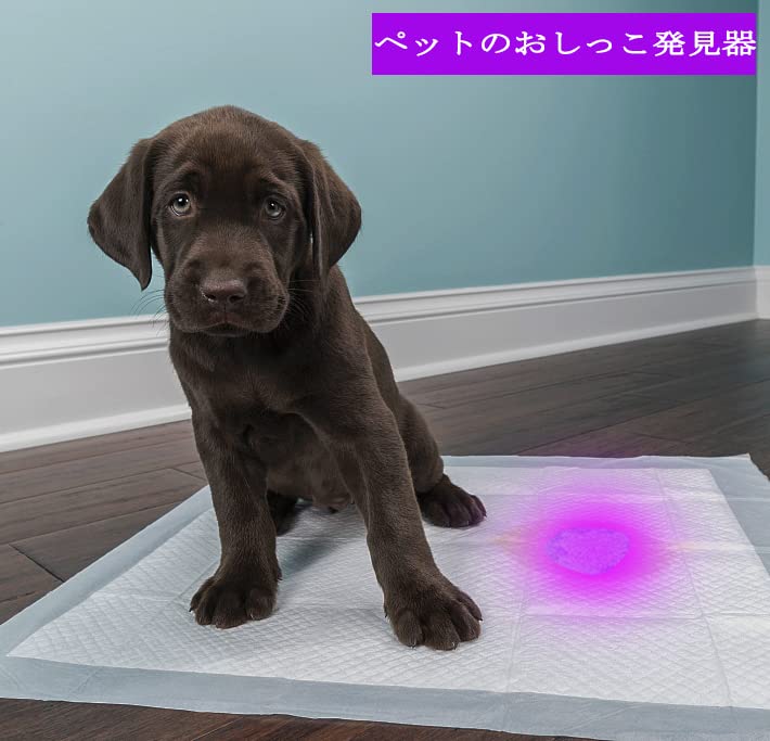 Black Light - Ultraviolet Light, 25W, Plug-in Included, Ultra-Thin, 395-405nm, LED Bar Light for Resin Curing, Weddings, Parties, Stage Lighting,