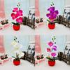 Decor Artificial Phalaenopsis With Highquality Materials For Gift And Event Use